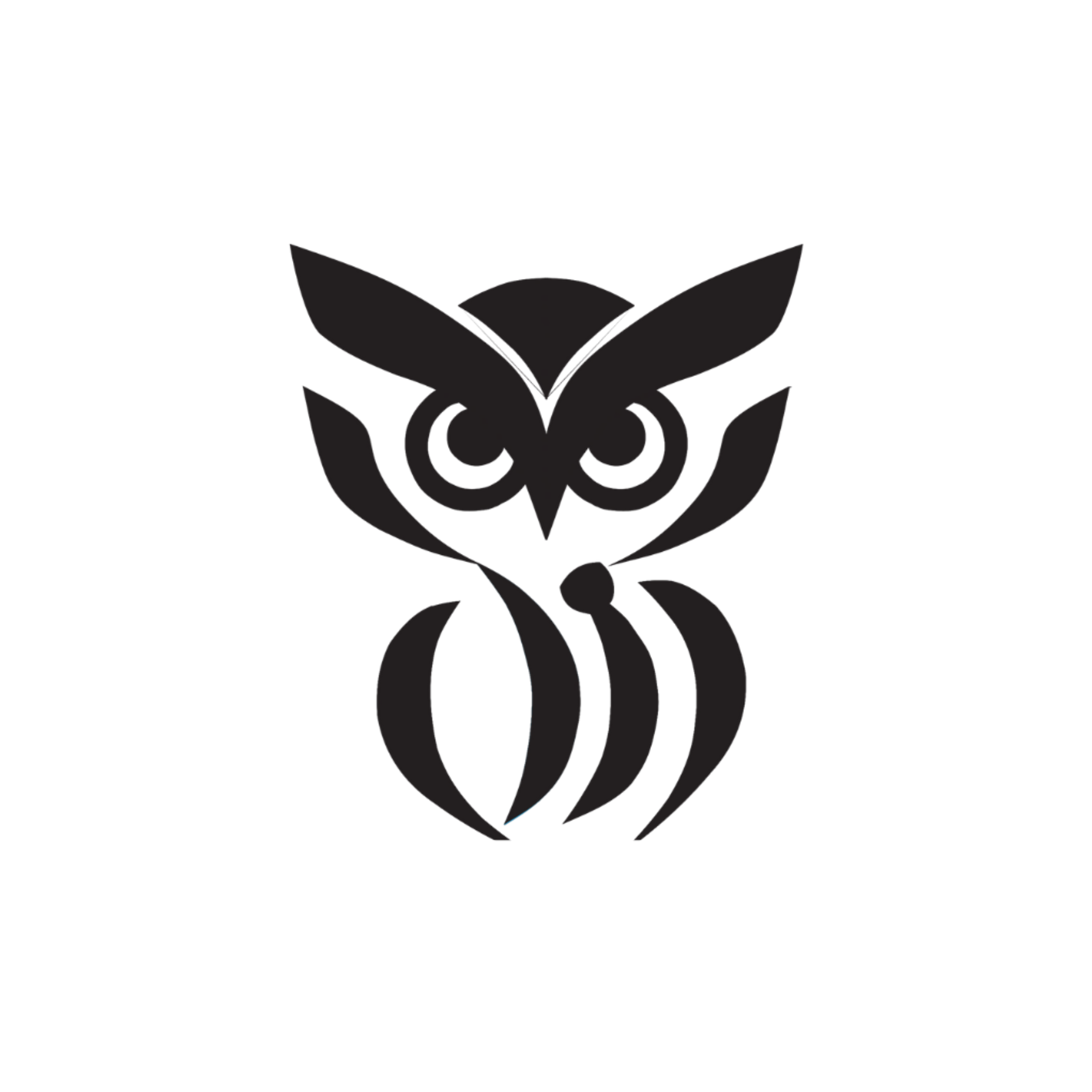 Logo 1